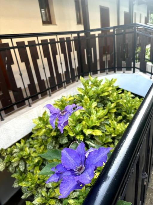 Spacious Fully Furnished Studio In Kavarna Apart Hotel Экстерьер фото